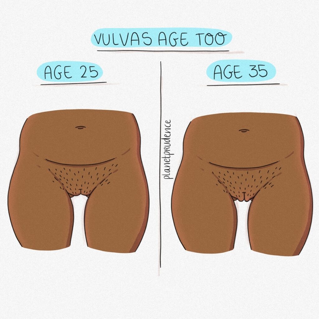 vulva